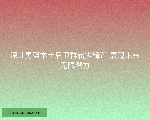 深圳男篮本土后卫群崭露锋芒 展现未来无限潜力